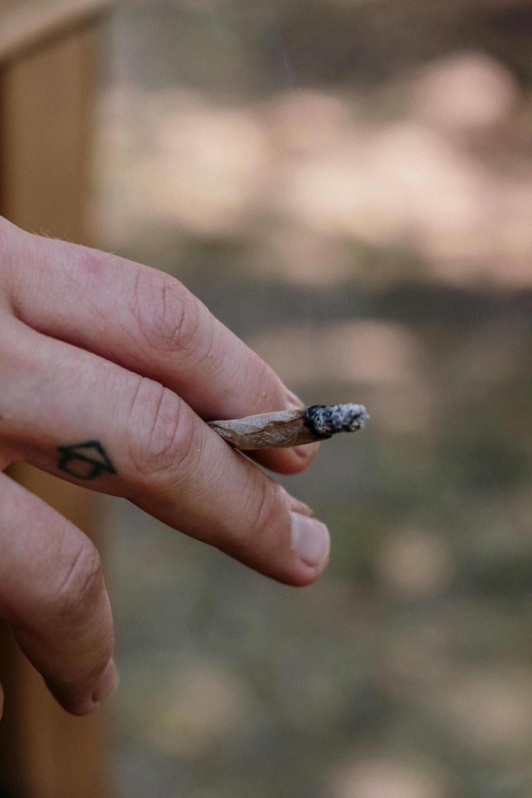 Detailed view of a tattooed hand holding a smoldering joint with an outdoor blurred background.
